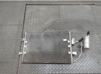  Радиатор кондиционера Mercedes A W168 1997-2004 20605505 #1