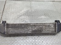 Радиатор интеркулера Mercedes C W204 2006-2015 20605537 #4