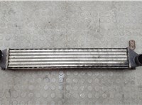  Радиатор интеркулера Ford Galaxy 2000-2006 20605540 #1