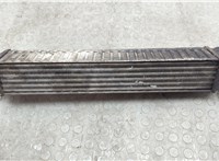  Радиатор интеркулера Ford Galaxy 2000-2006 20605540 #2