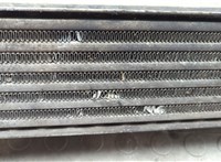  Радиатор интеркулера Ford Galaxy 2000-2006 20605540 #3