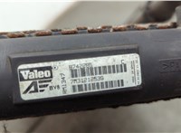  Радиатор охлаждения двигателя Ford Galaxy 2000-2006 20605556 #3