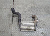  Радиатор интеркулера Audi A4 (B5) 1994-2000 20605561 #1