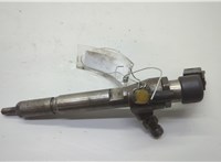  Форсунка топливная Renault Megane 2 2002-2009 20605624 #1