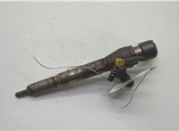  Форсунка топливная Renault Megane 2 2002-2009 20605625 #1