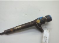  Форсунка топливная Renault Megane 2 2002-2009 20605630 #1