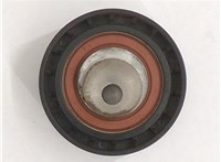  Натяжитель приводного ремня Ford Transit (Tourneo) Connect 2002-2013 20606053 #1
