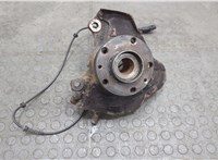3307A5, 3646A0 Ступица (кулак, цапфа) Citroen Jumper (Relay) 2006-2014 20606669 #1