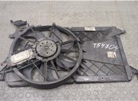  Вентилятор радиатора Ford Focus 2 2005-2008 20606732 #1