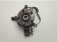  Ступица (кулак, цапфа) Toyota RAV 4 2000-2005 20606963 #1