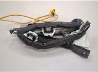  Подушка безопасности боковая (шторка) Ford Focus 2 2008-2011 20607472 #2