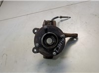  Ступица (кулак, цапфа) Ford Fusion 2002-2012 20608182 #1
