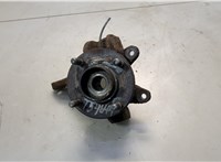  Ступица (кулак, цапфа) Ford Fusion 2002-2012 20608198 #1