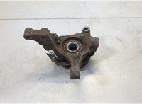  Ступица (кулак, цапфа) Chevrolet Captiva 2006-2011 20608268 #2