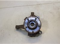  Ступица (кулак, цапфа) Chevrolet Captiva 2006-2011 20608271 #1