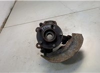  Ступица (кулак, цапфа) Mazda 3 (BK) 2003-2009 20608329 #1