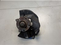  Ступица (кулак, цапфа) BMW 3 E46 1998-2006 20608366 #1