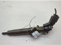 A6420701187 Форсунка топливная Mercedes ML W164 2005-2011 20608648 #1