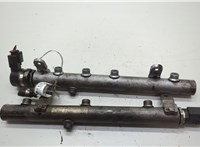  Рампа (рейка) топливная Mercedes ML W164 2005-2011 20608655 #1