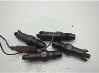 198057, 198092 Форсунка топливная Peugeot Expert 1995-2007 20608795 #1