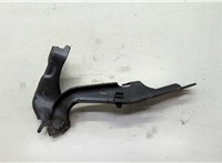  Петля капота Toyota RAV 4 2000-2005 20608823 #3