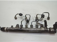  Рампа (рейка) топливная Volkswagen Passat CC 2008-2012 20609421 #1