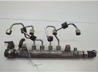  Рампа (рейка) топливная Volkswagen Passat CC 2008-2012 20609421 #5