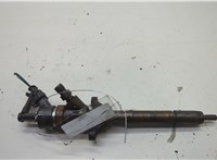  Форсунка топливная Ford Focus 2 2008-2011 20610174 #1