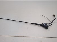 13279181, 24447133 Антенна Opel Astra G 1998-2005 20612976 #2