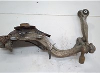  Ступица (кулак, цапфа) Audi A4 (B6) 2000-2006 20613479 #1