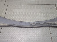  Жабо под дворники (дождевик) Ford Focus 1 1998-2004 20613631 #1