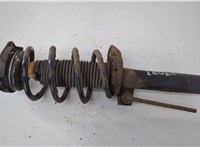  Амортизатор подвески Skoda Octavia (A5) 2004-2013 20613906 #1