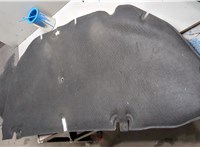 7979L4 Обшивка капота Citroen DS4 2010-2018 20614501 #1
