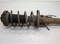  Амортизатор подвески Seat Ibiza 3 2001-2008 20614560 #1