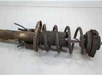  Амортизатор подвески Seat Ibiza 3 2001-2008 20614598 #1