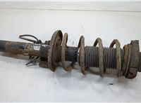  Амортизатор подвески Skoda Fabia 1999-2007 20614656 #1