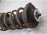  Амортизатор подвески Skoda Fabia 1999-2007 20614656 #2