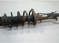  Амортизатор подвески Seat Toledo 2 1999-2004 20614798 #1