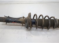  Амортизатор подвески Volkswagen Golf 4 1997-2005 20614914 #1