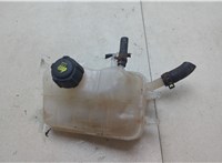  Бачок расширительный Renault Megane 3 2009-2016 20615861 #1