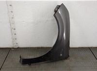  Повторитель поворотов Renault Scenic 2003-2009 11510407 #1