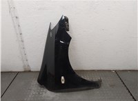  Крыло Hyundai Getz 2002-2011 20615971 #1