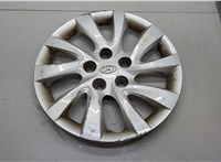 529603Y100 Колпак колесный Hyundai Elantra 2010-2016 20616142 #1