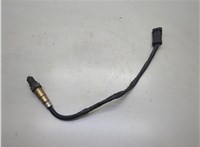  Лямбда зонд Renault Scenic 2003-2009 20616605 #1