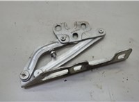 1160592, 13311903 Петля капота Opel Corsa E 2014-2019 20616680 #1