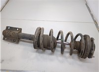  Амортизатор подвески Fiat Ducato 1994-2006 20616852 #1