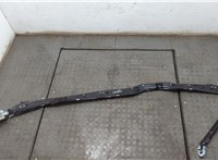  Подушка безопасности боковая (шторка) Volkswagen Phaeton 2010-2016 20617093 #1