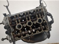  Головка блока (ГБЦ) Audi A4 (B6) 2000-2006 20617843 #1