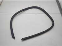  Уплотнитель BMW 7 E65 2001-2008 20619150 #1