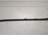 51317250395 Молдинг стекла (лобовое) BMW X5 E70 2006-2013 20626676 #2